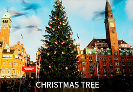 Guangdong Modern High-tech Fiber Co., Ltd  ，MODERNS PP Microfiber， Microfiber PPD TY moderns，PP profiled yarn，PP intermingled FDY，PP twisted yarn，Differential Fiber PP yarn，PP fine denier yarn,PP fine denier DTY yarn